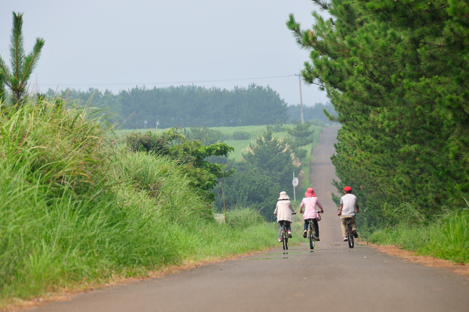 shimatabi-taiken-cycling1